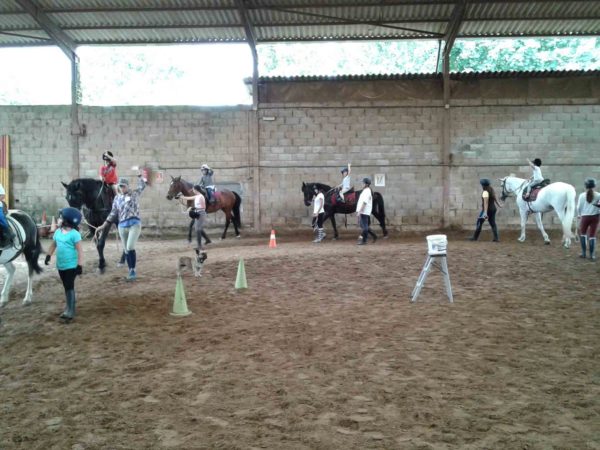 Clases, bonos y precios 2018