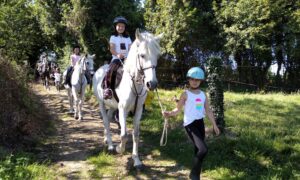 🌞 Verano 2025 en el Centro Hípico Deva: una aventura ecuestre inolvidable para tus hijos