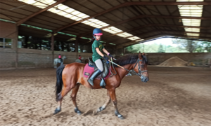 🐎 Vive la pasión de la equitación este verano en el Centro Hípico Deva