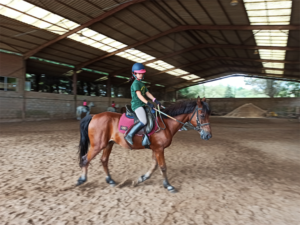 🐎 Vive la pasión de la equitación este verano en el Centro Hípico Deva